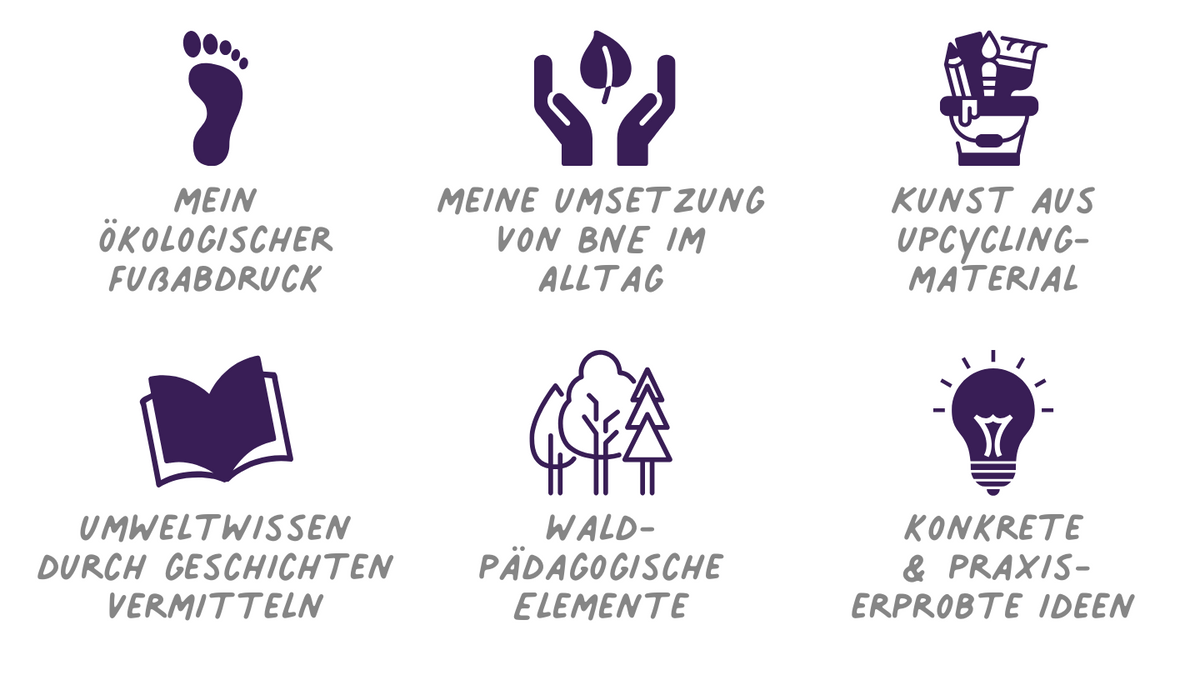 Bildung für nachhaltige Entwicklung in der Naturpädagogik