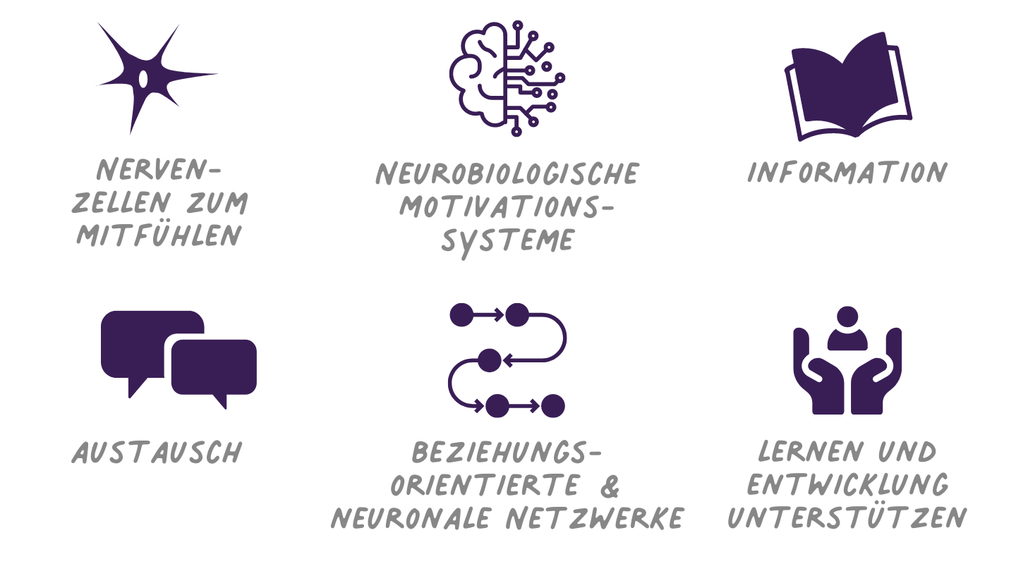 Neurobiologie von Lernen durch Beziehungen