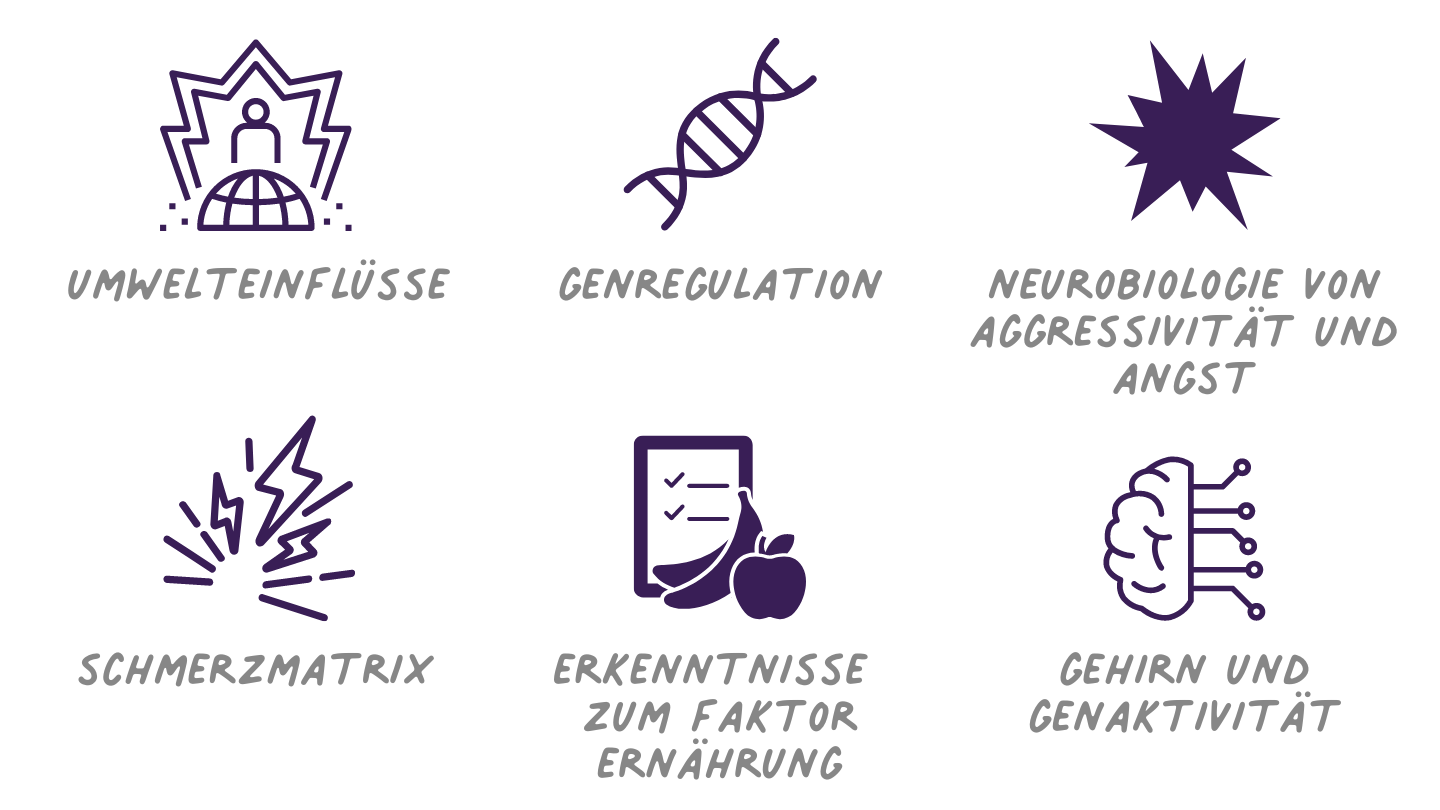 Gene und Gehirn - Epigenetik der 2. genetische Code