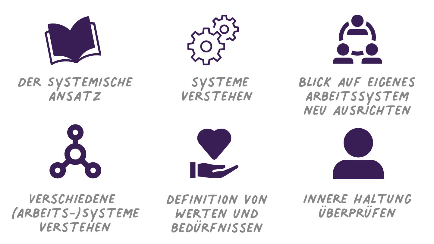 Einführung in das Systemische Denken und Handeln