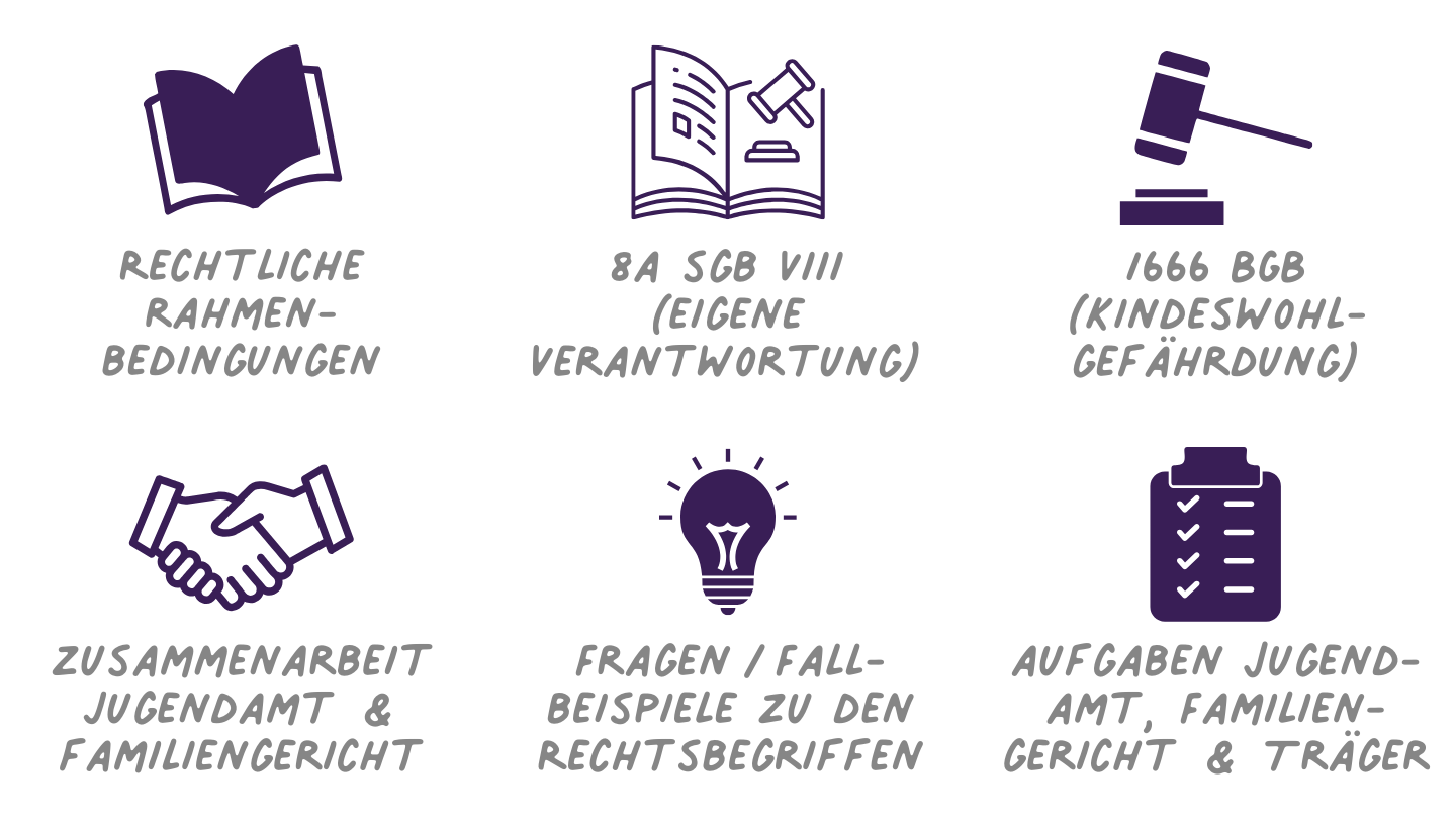 Kindeswohlgefährdung: Recht und Praxis - Qualifikationskurs