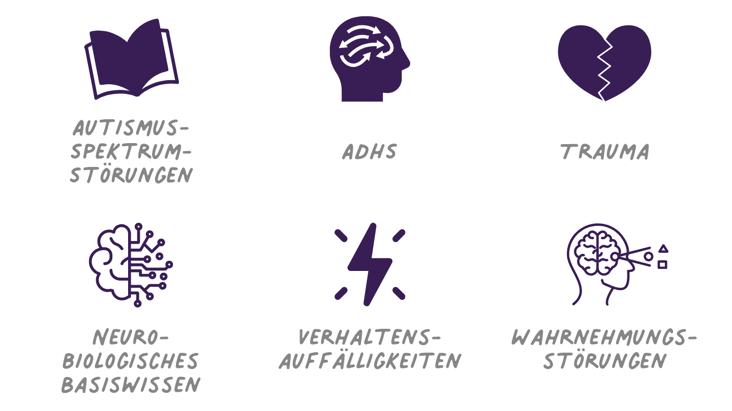 Fachpädagog:in für Neurodivergenz