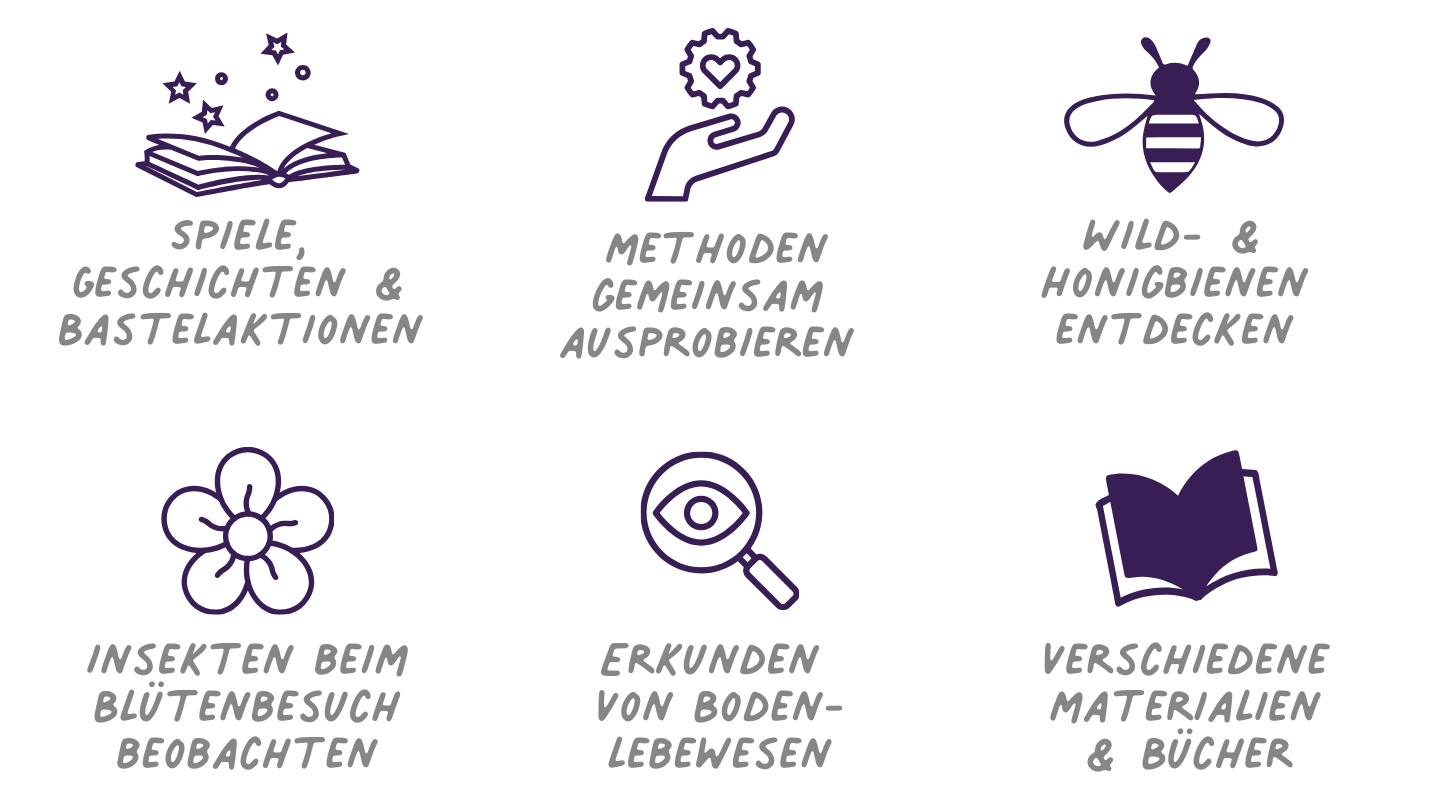 Die Welt der Insekten in der Naturpädagogik