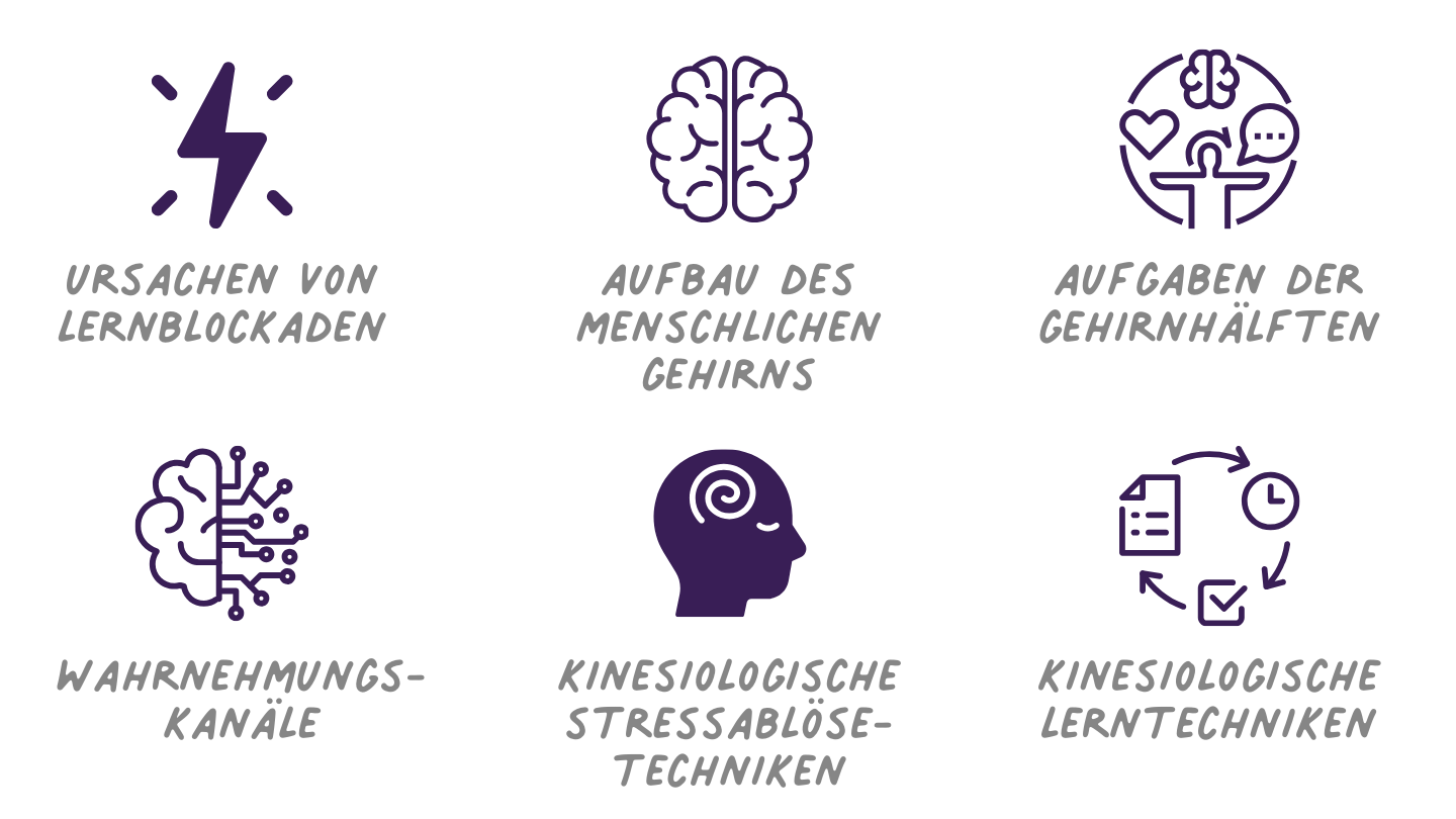 Leichter lernen können - Kinesiologie als Unterstützung in der Pädagogik