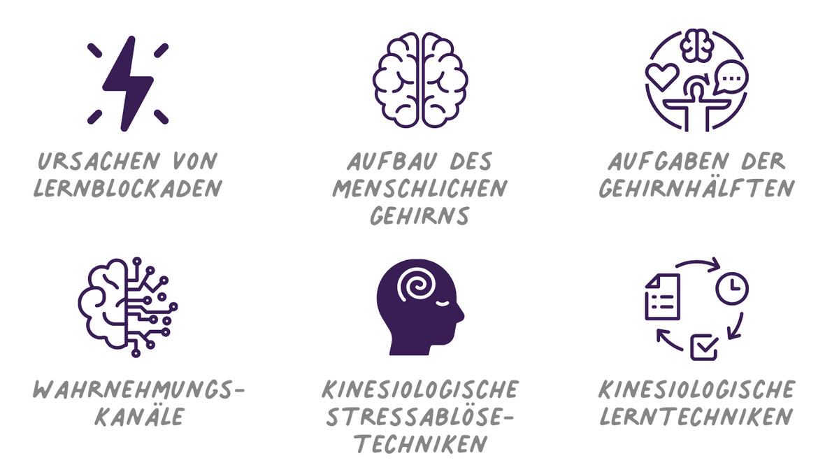 Leichter lernen können - Kinesiologie als Unterstützung in der Pädagogik