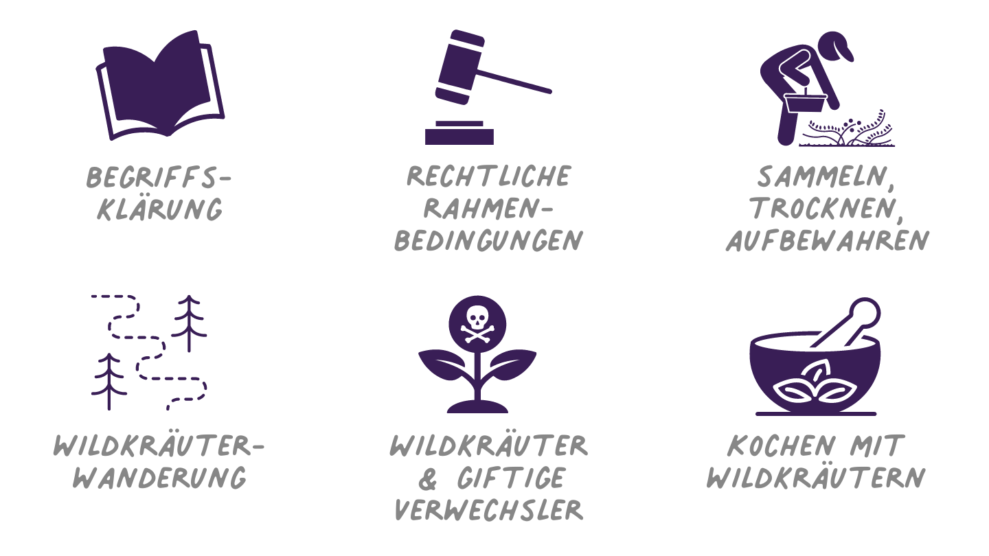 Einführung in die Kräuterpädagogik