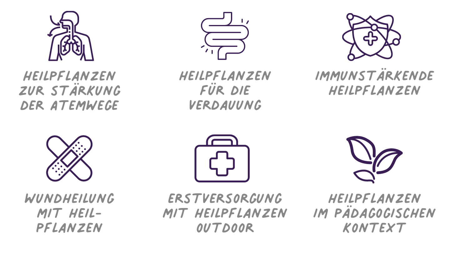 Heilpflanzen in der Kinderheilkunde
