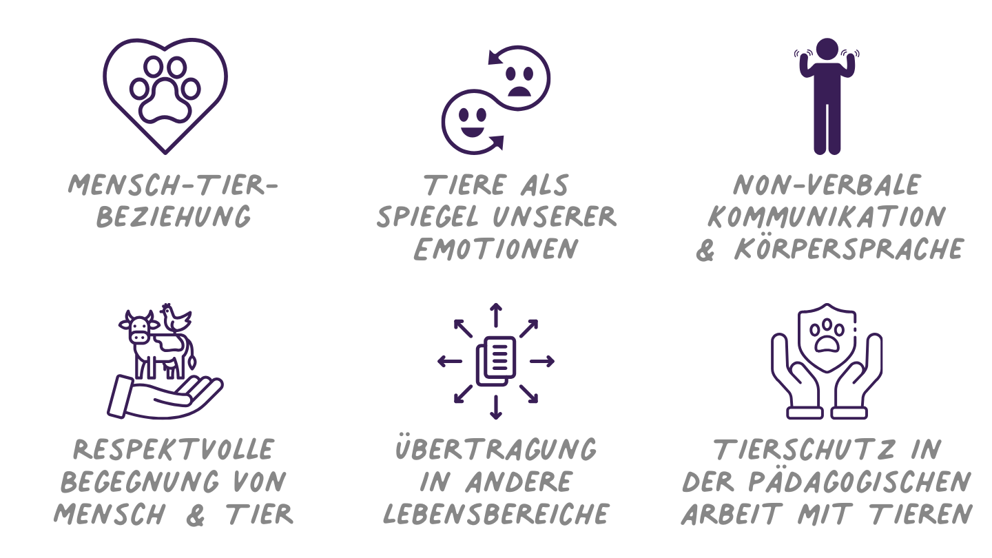 Tiergestützte Pädagogik - Soziales Lernen mit Tieren