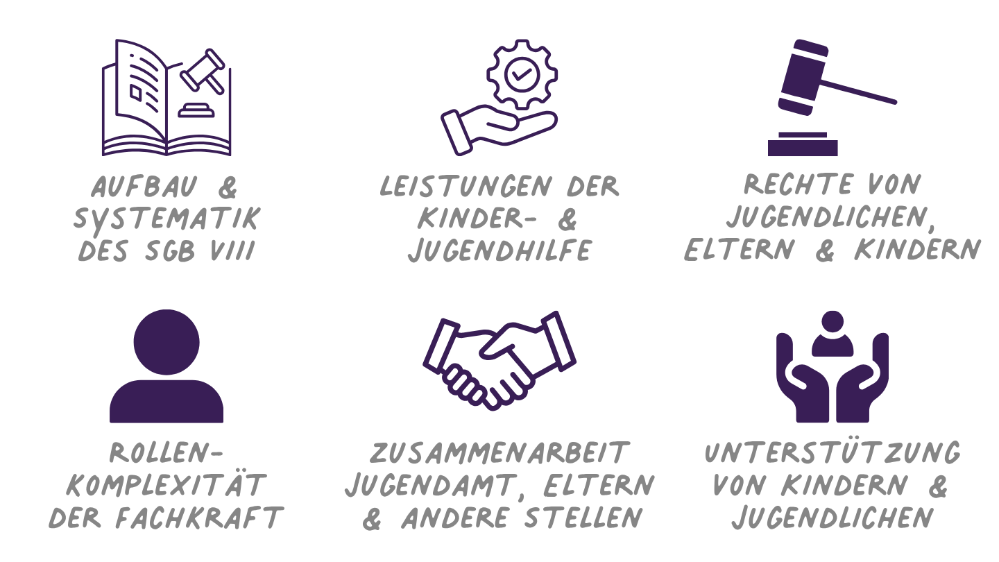 Grundlagen des Kinder- und Jugendhilferechts (SGB VIII)