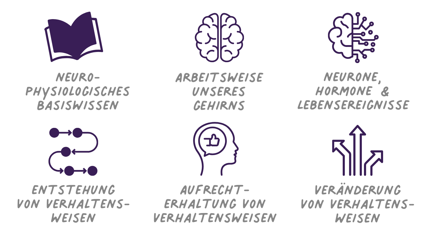 Erkenntnisse aus der Hirnforschung - Einführungstag