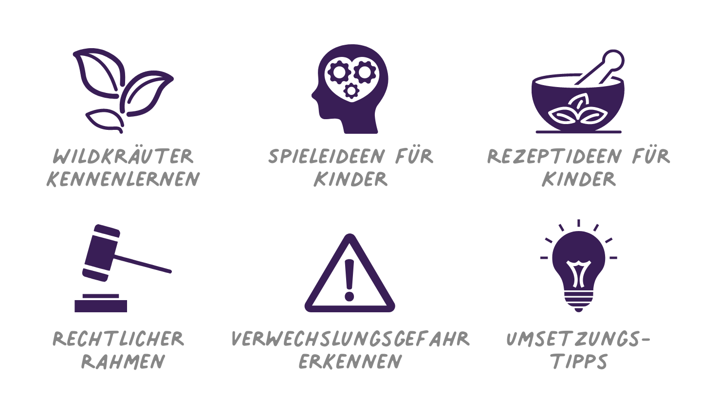 Wildkräuter im Frühling mit Kindern entdecken