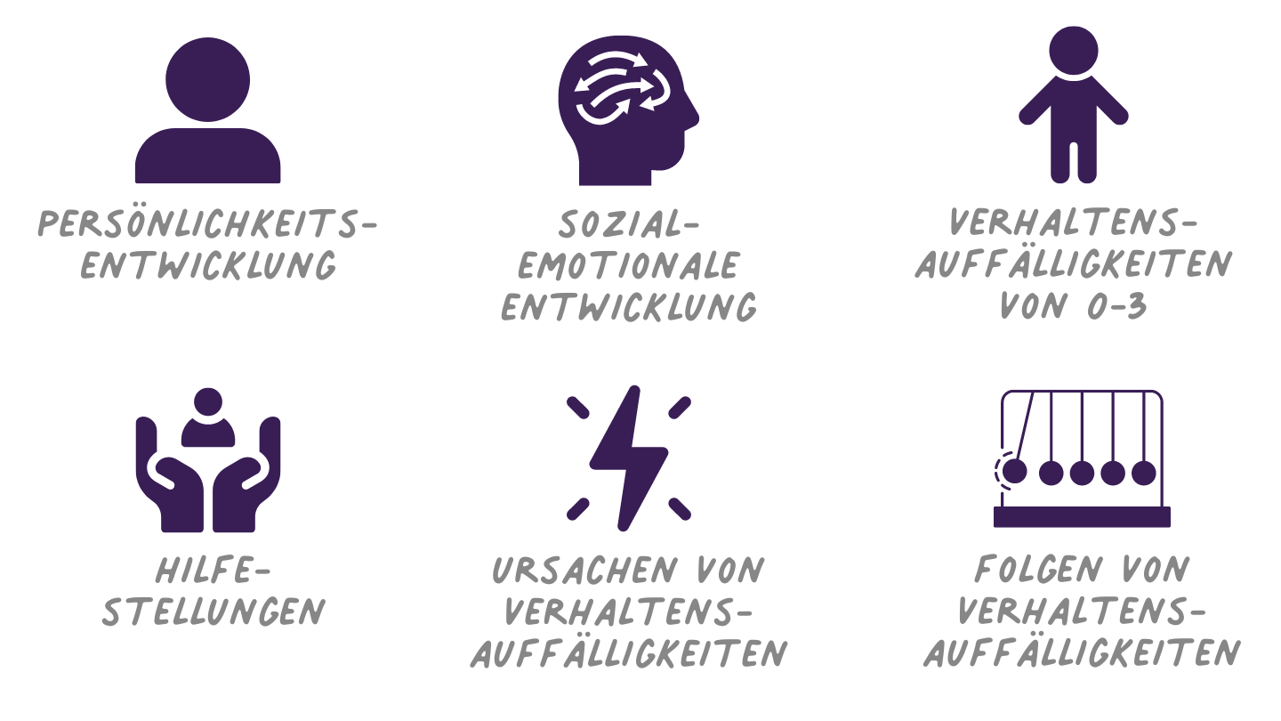 Sozial-emotionale Entwicklung und Verhaltensauffälligkeiten im Kleinstkindalter - Qualifikationskurs