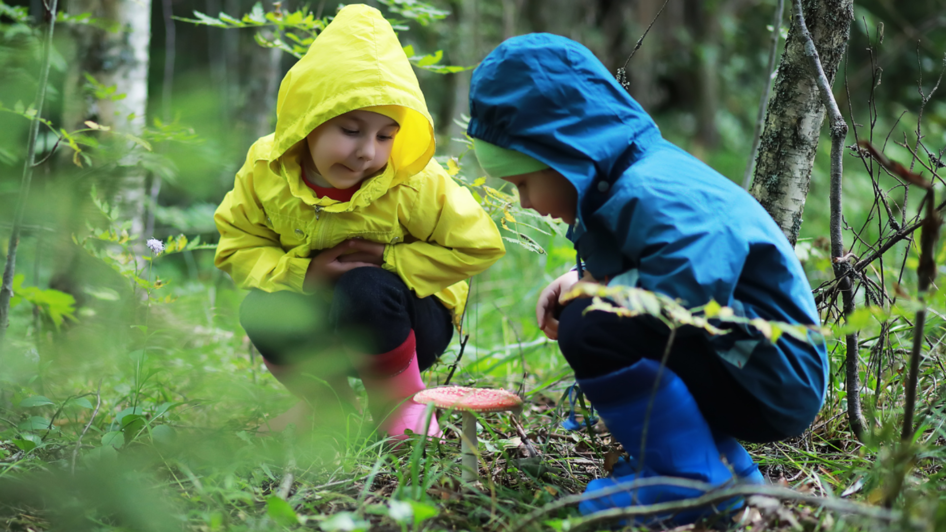 Schwerpunktfortbildung Waldpädagogik: Spaziergang durch den Märchenwald - Mit der Natur Geschichten gestalten und erzählen