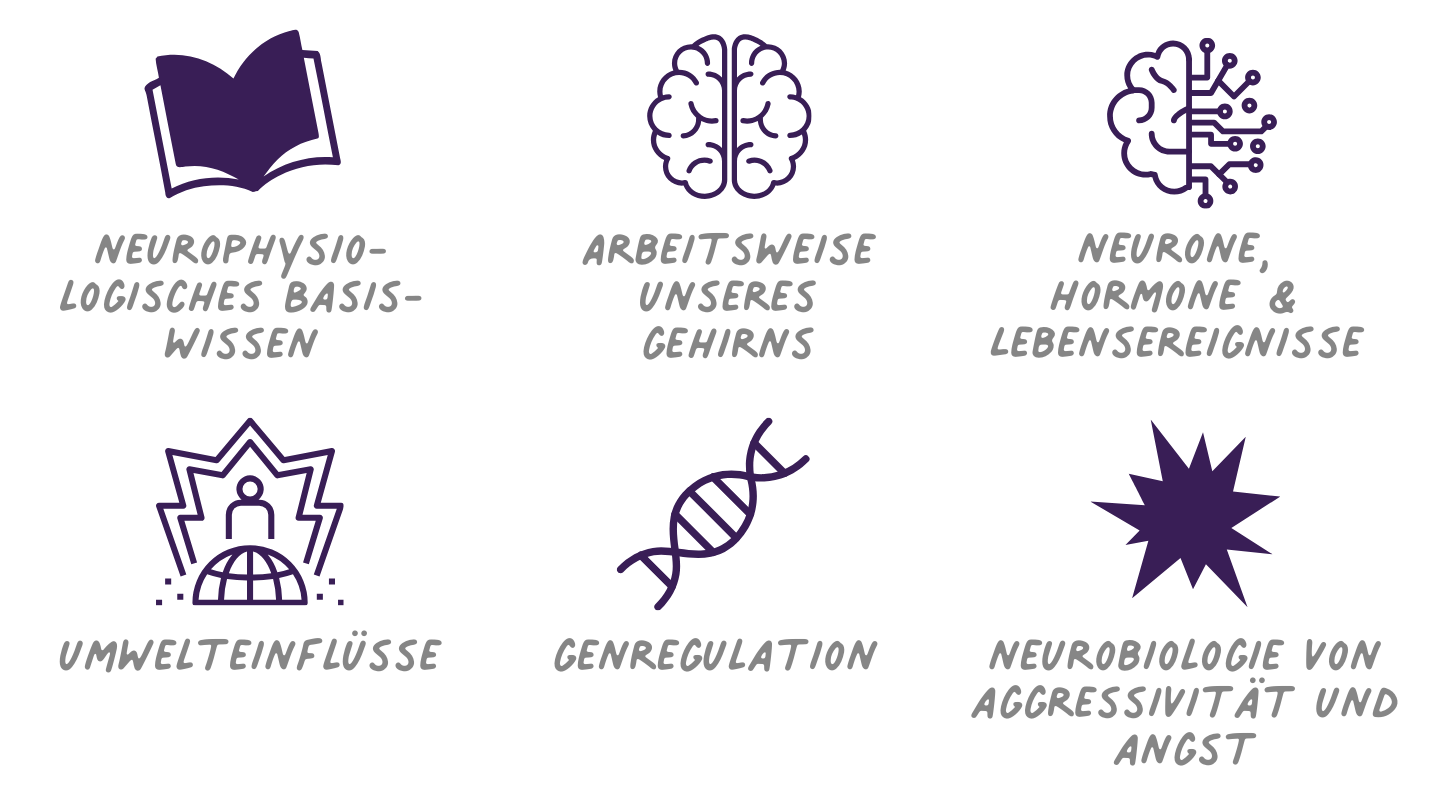 Schwerpunktfortbildung Neurobiologie: Einführung in die Hirnforschung und die Epigenetik