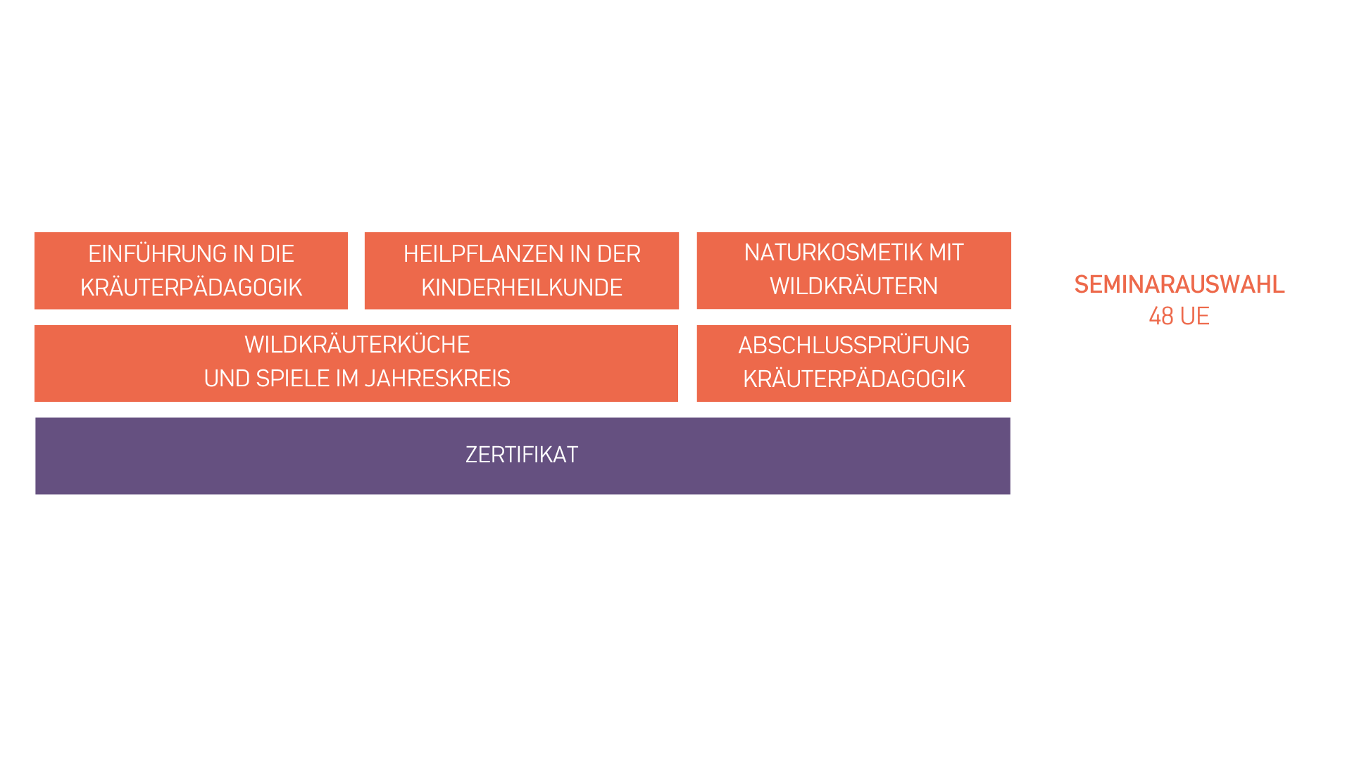 Fachkraft für Kräuterpädagogik